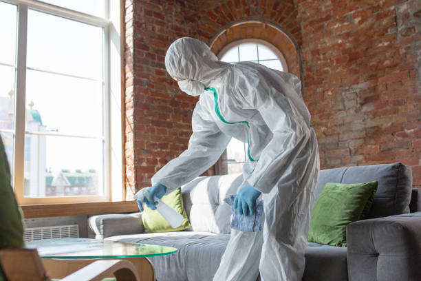 Why You Should Choose Our Mold Remediation Services in Gordon Heights, NY