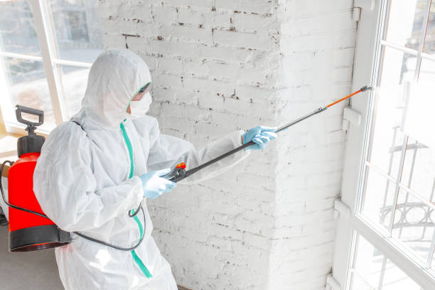 Asbestos and Lead Testing During Mold Inspection in Gordon Heights, NY