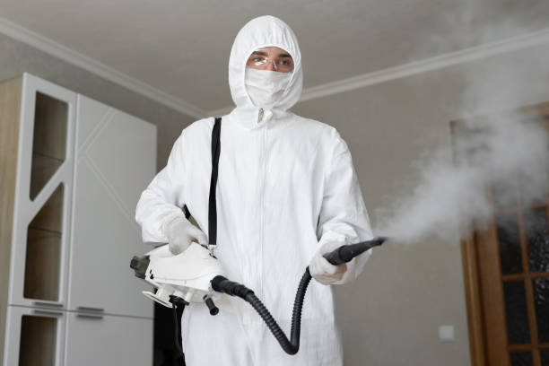 Mold Remediation for Vacation Homes in Gordon Heights, NY